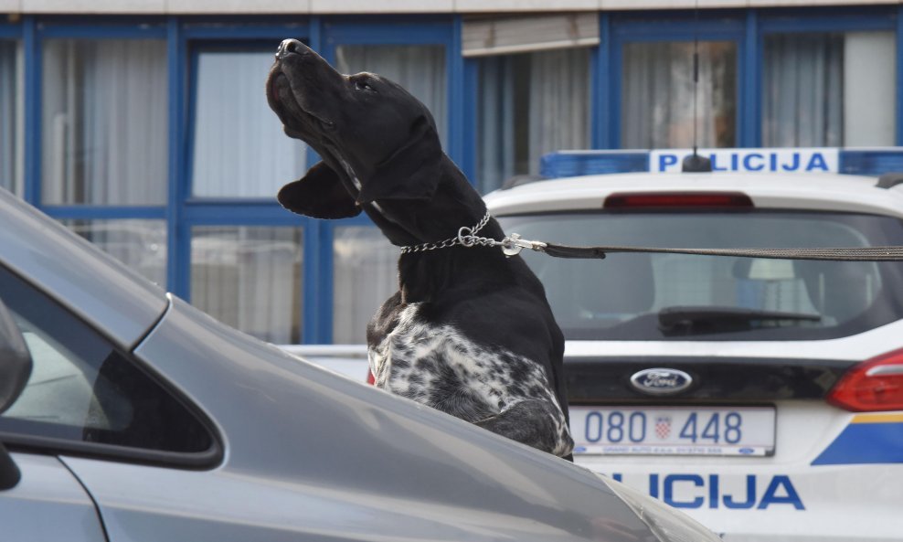 Policijski pas Dux
