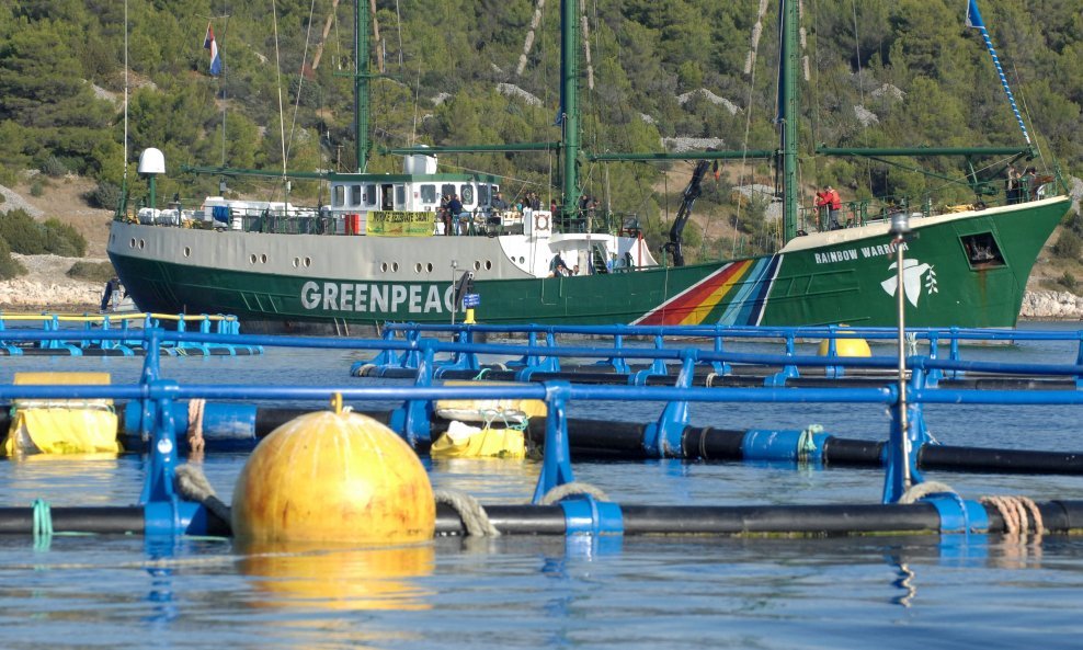 I Greenpeace je prosvjedovao zbog uzgoja tune u Hrvatskoj / Arhivska ilustrativna fotografija
