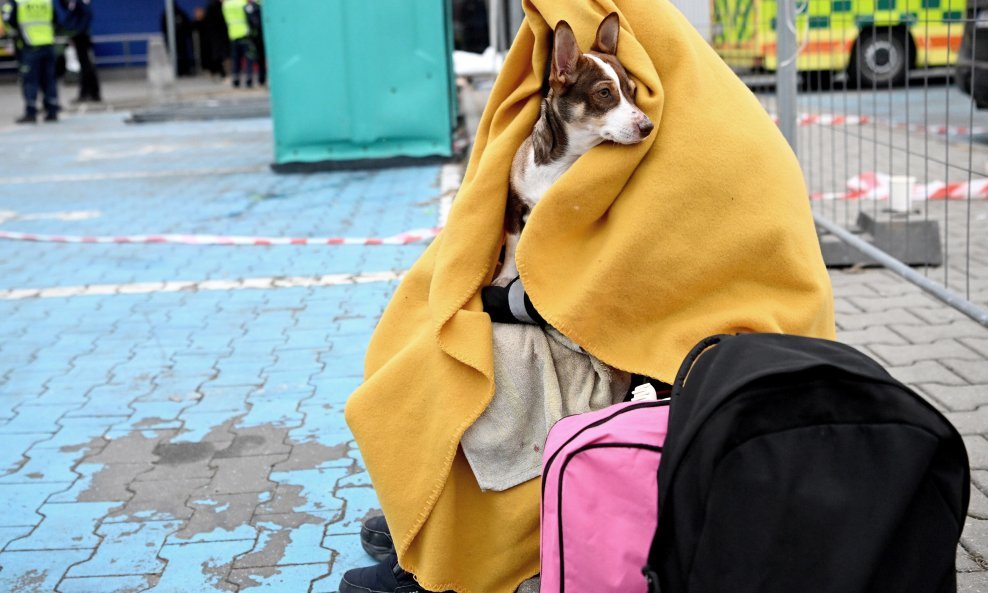 Ukrajinske izbjeglice u Poljskoj