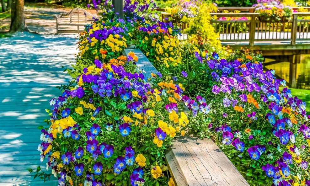 Dobrim odabirom cvjetnih sorti za žardinjere možete u prekrasnoj cvatnji uživati tijekom čitave sezone