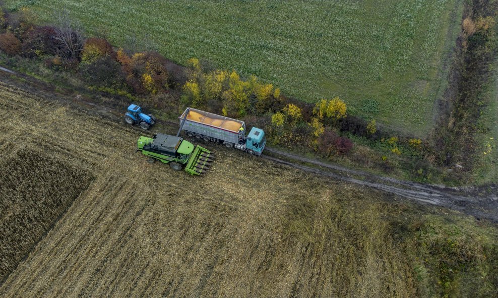 Vršidba kukuruza u Slavoniji