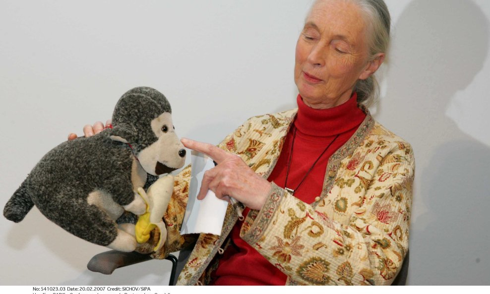 jane goodall