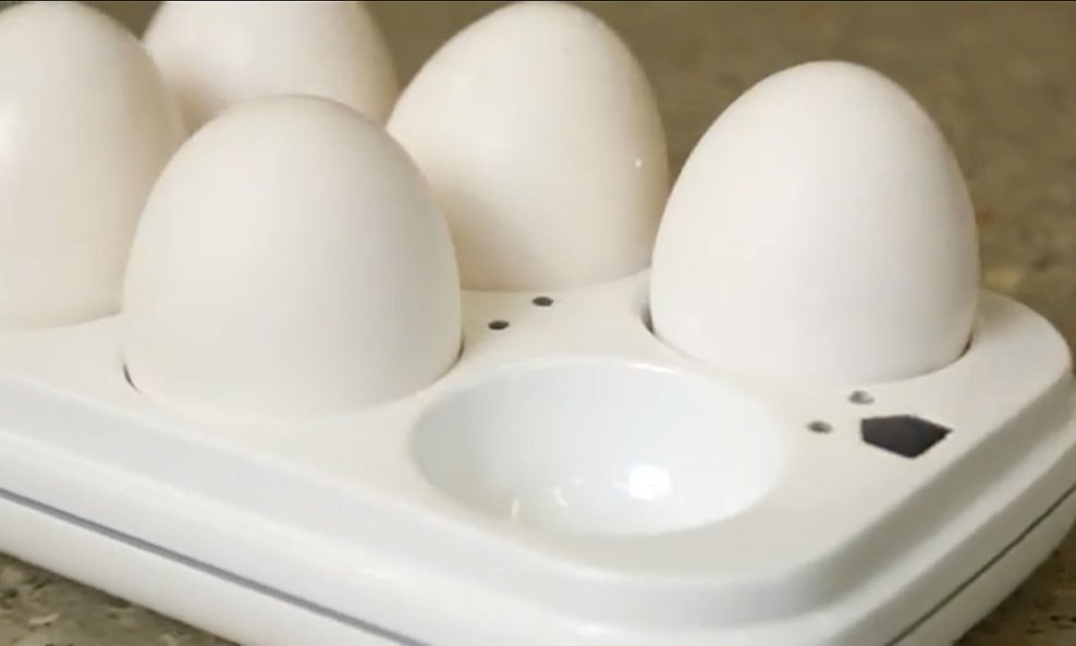 Egg Minder