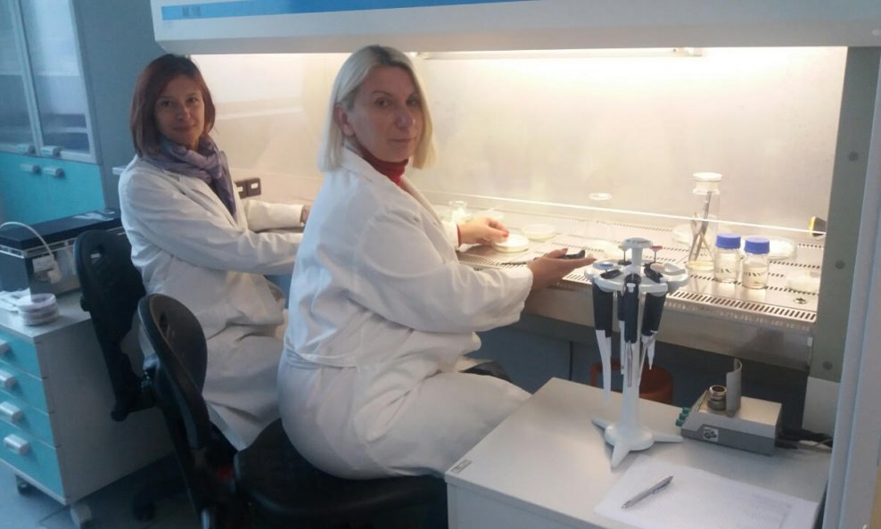 Karolina Vrandečić s kolegicom u laboratoriju
