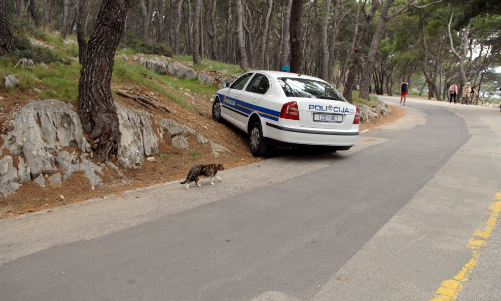 BBB, Zadar 2009, Dvoransko prvenstvo, Zadar, policija