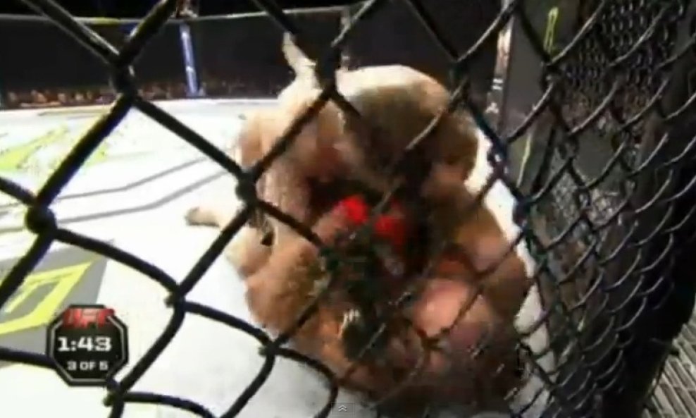 Cro Cop i Gonzaga