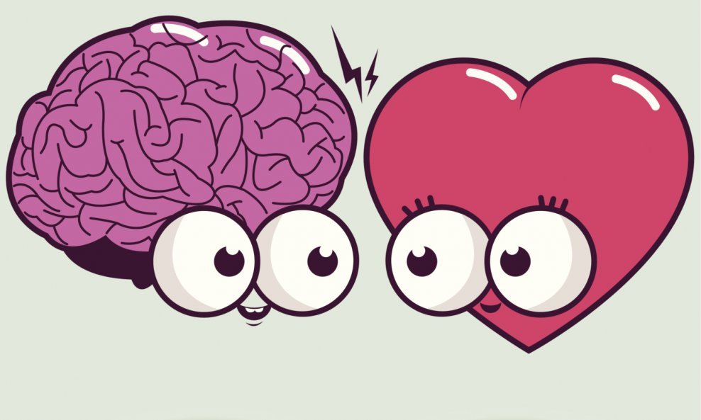 srce mozak ljubav 