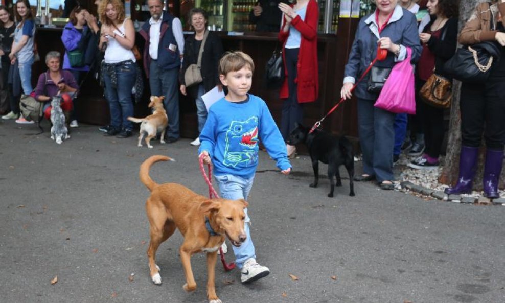 U sklopu manifestacije Ljeto na Strossu jučer je u Zagrebu održan i odabir najljepšeg psa mješanca