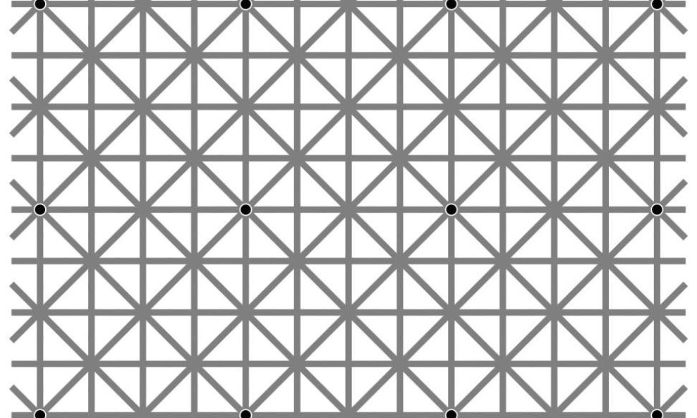 "Ninio's extinction illusion"
