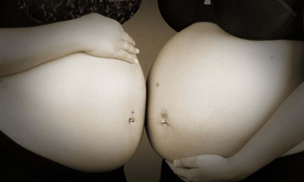 trbuh trudnoća trudnica