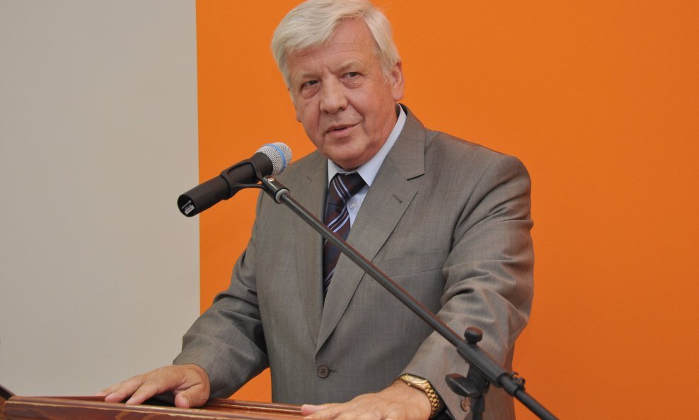 vidoje vujić