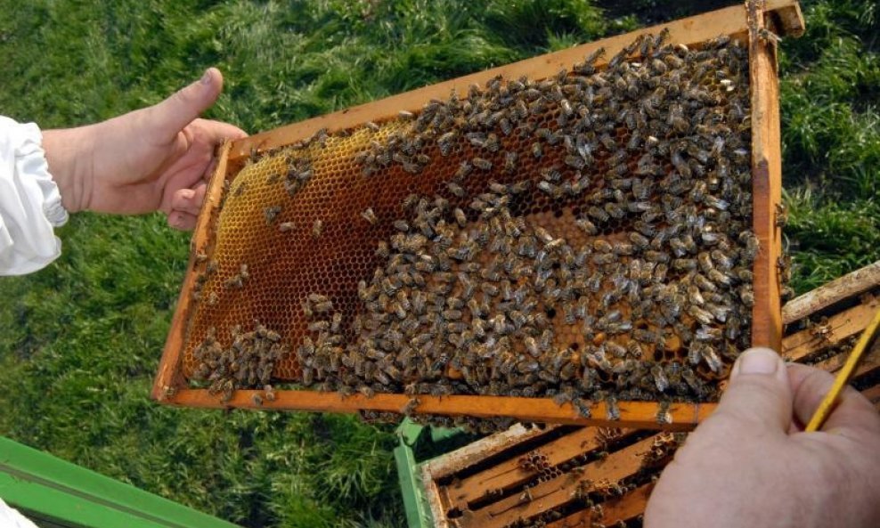 Slavonskom medu oznaka izvornosti na EU razini