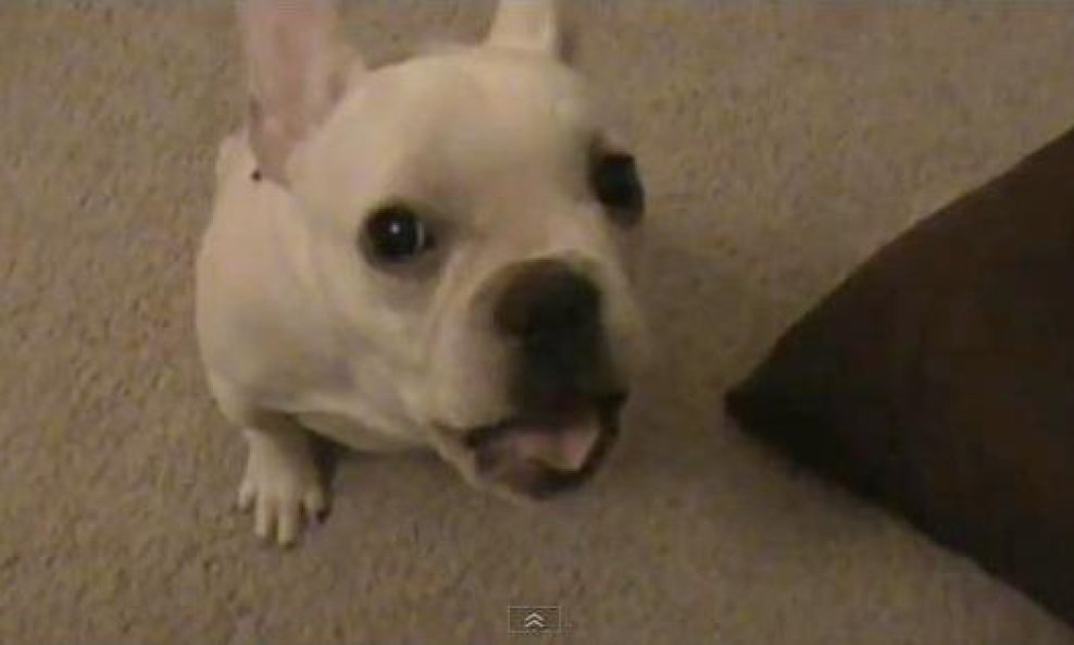 Sir Arthur Folds A Lot funvideo