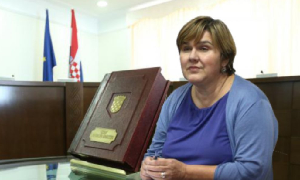 markić ustav