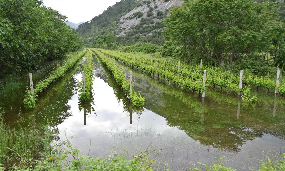 Šteta u Vrgorcu