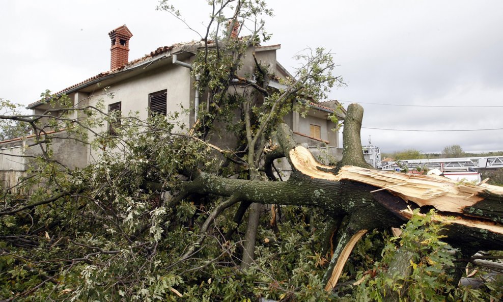 Nevrijeme u Istri (2)