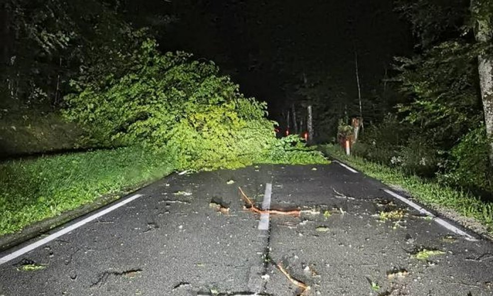 Srušeno drveće na cesti kod Bohinja