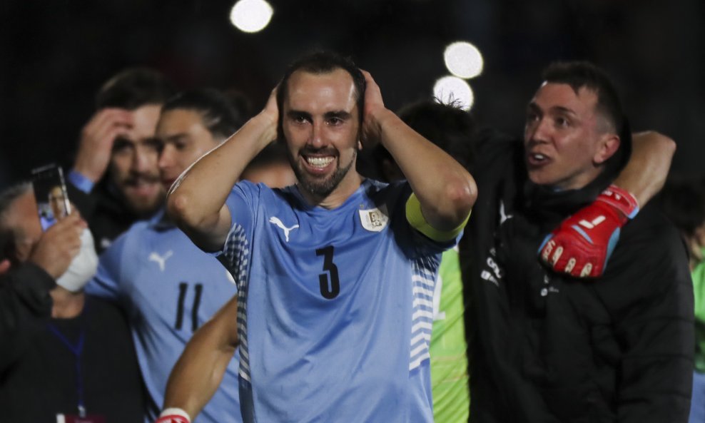 Diego Godin