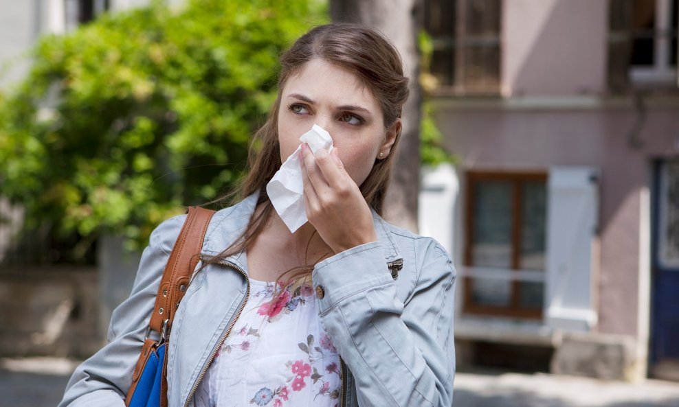 Biljka čiji pelud izaziva najčešće i najburnije alergije je ozloglašena ambrozija