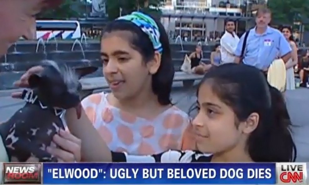 elwood najružniji pas na svijetu