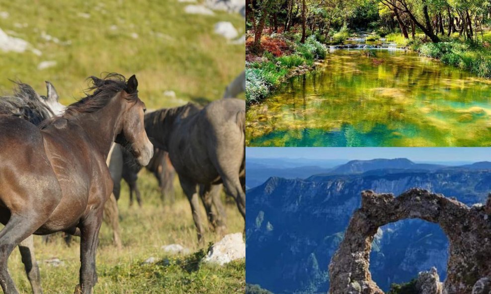 Livanjski divlji konji, Park Peć Mlini, Hajdučka vrata u Blidinju