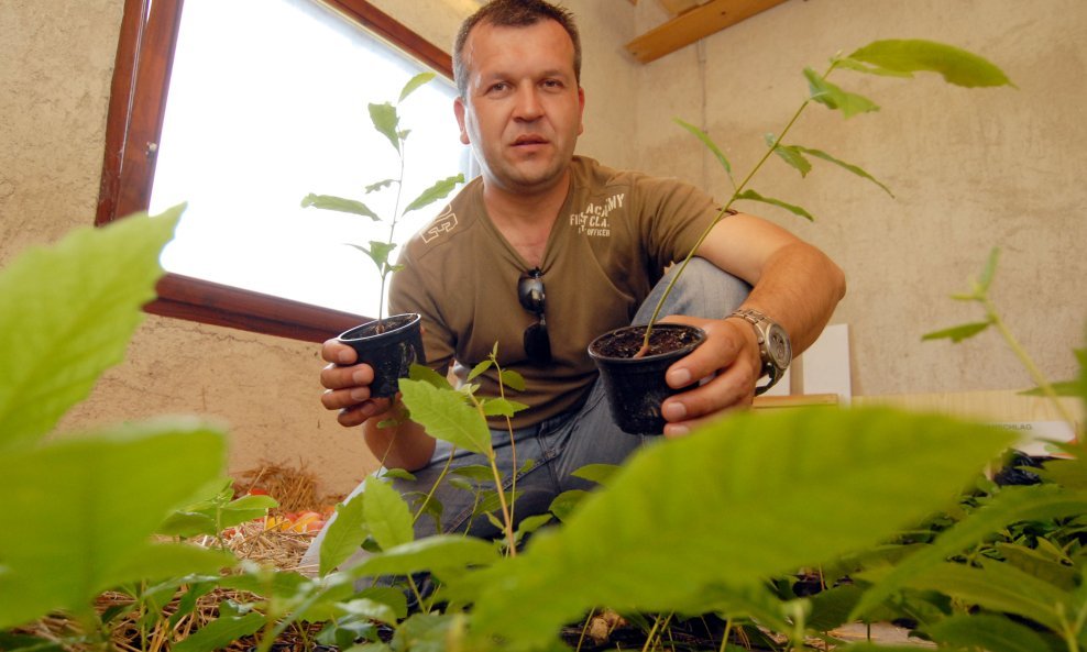 Anđelko Stričak / Arhivska fotografija