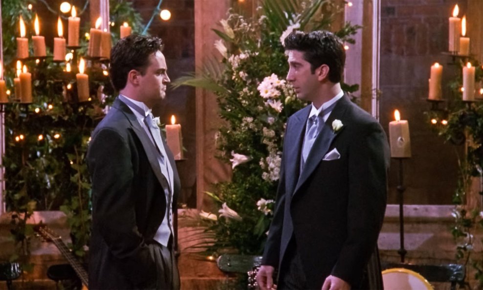 Matthew Perry, David Schwimmer