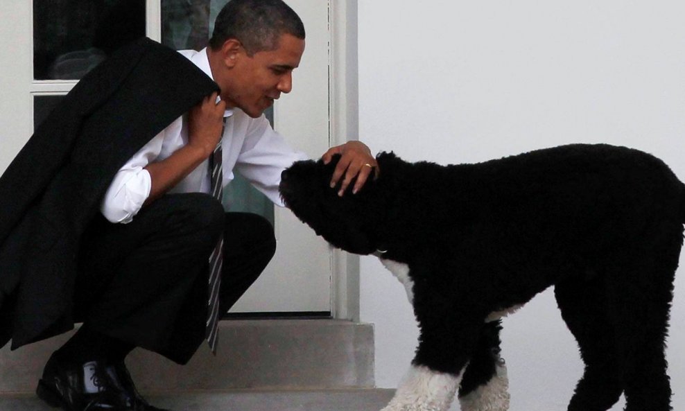 Obama s psom