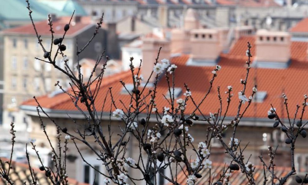 proljeće zagreb