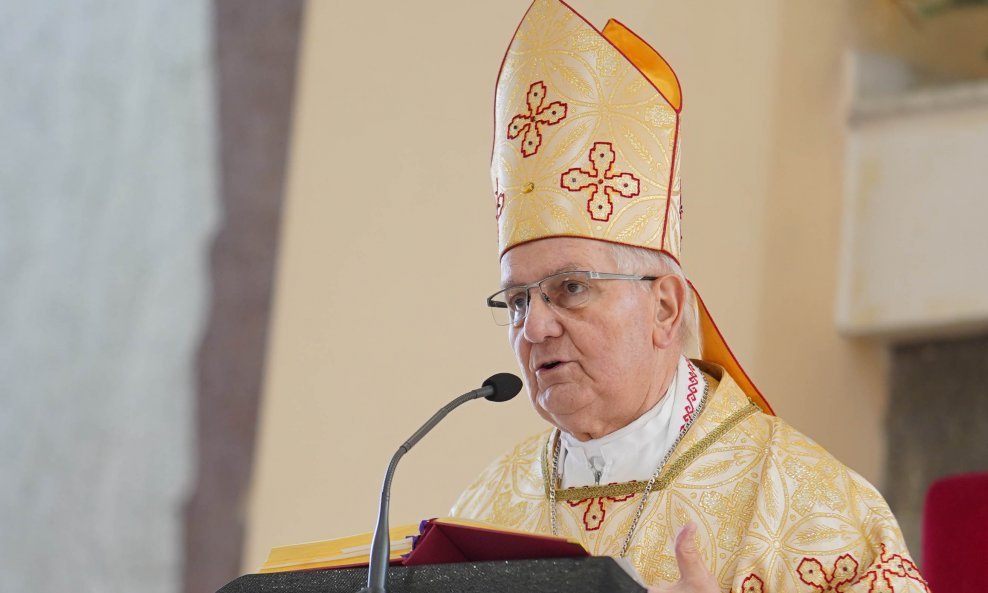 Biskup u miru Franjo Komarica