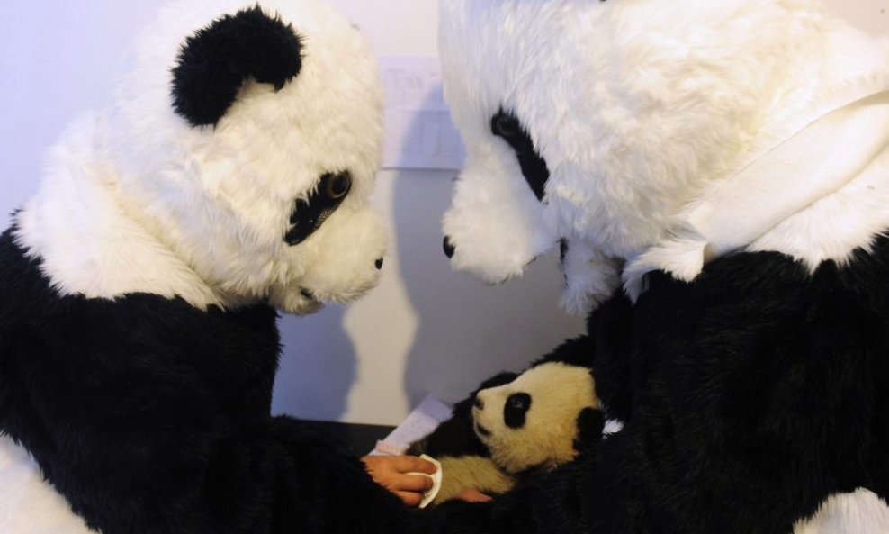 Ljudi odjeveni u pande s bebom pandom