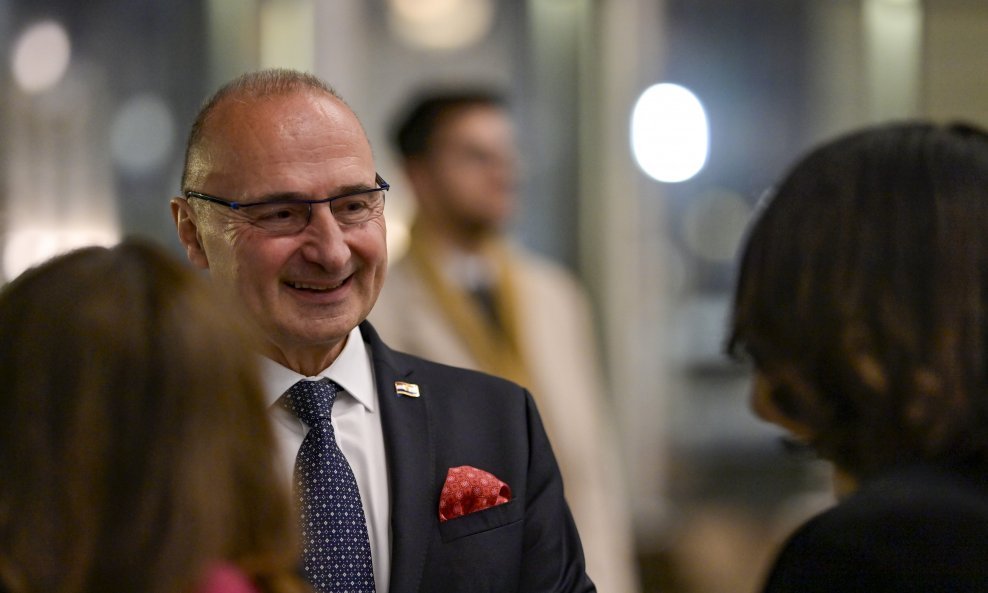 Gordan Grlić Radman