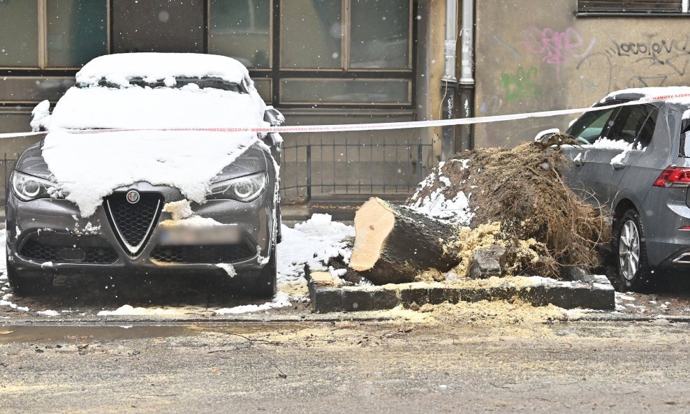Na parkirani automobil srušilo se stablo u Zagrebu