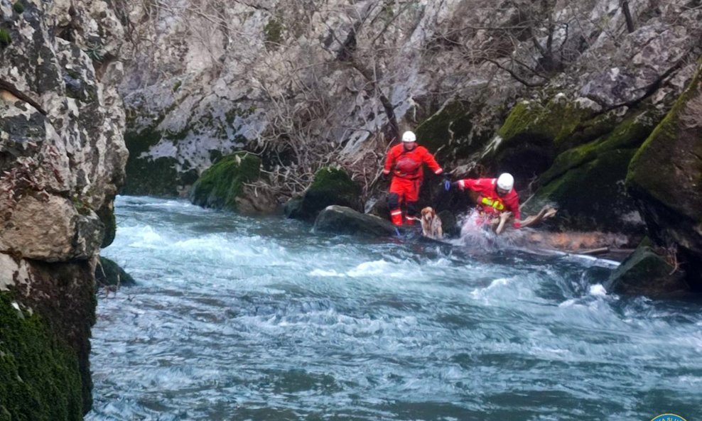 HGSS-ovci spasili psa iz kanjona rijeke Čikole