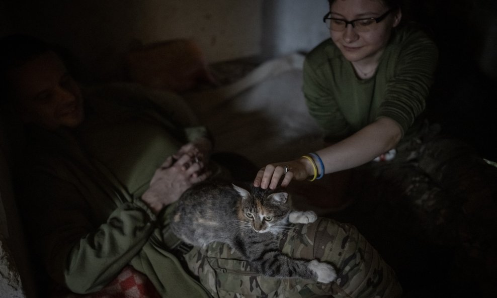 Mačke na ukrajinskoj bojišinici
