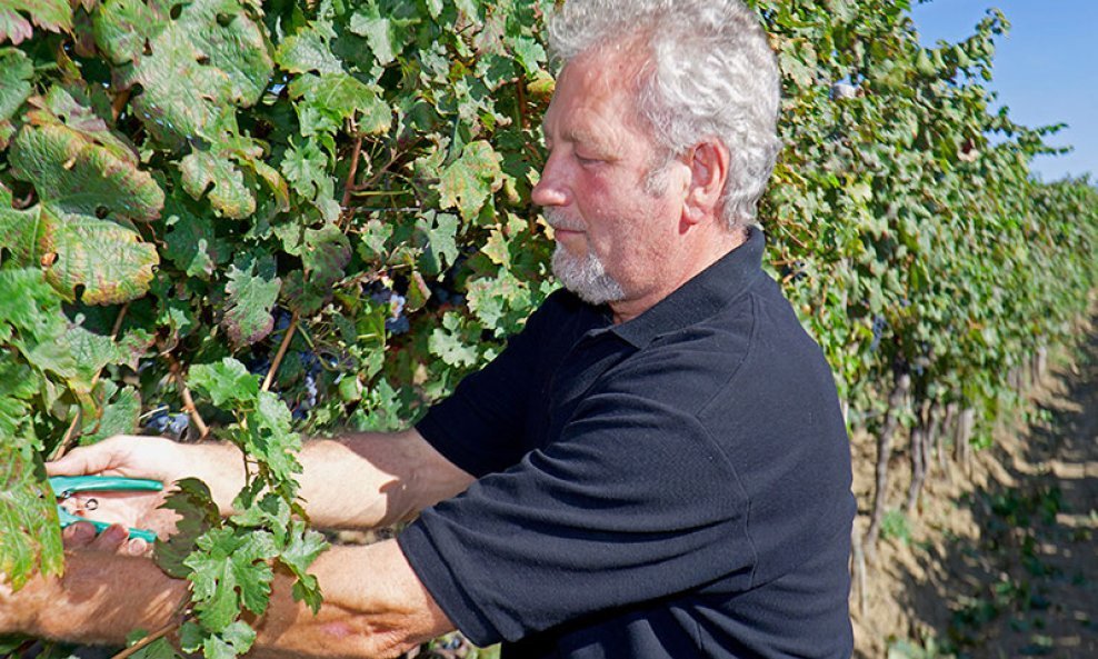 franco cattunar