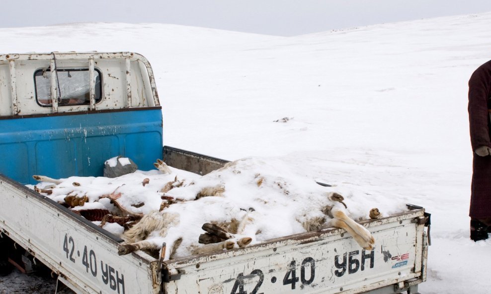 Mongolija, ilustrativna fotografija