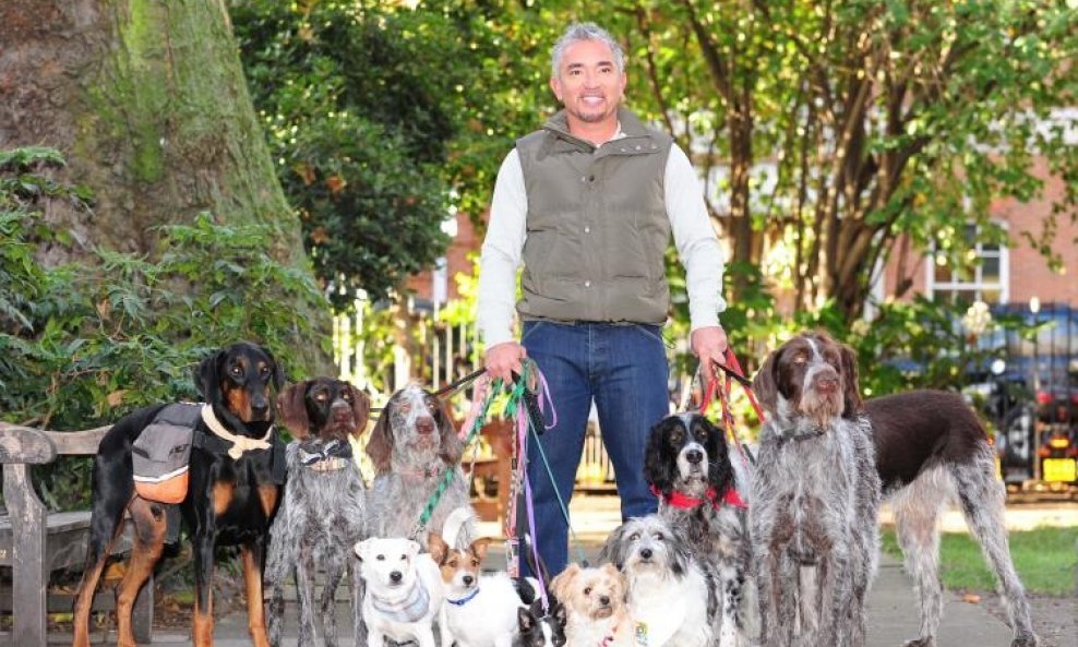 Cesar Millan