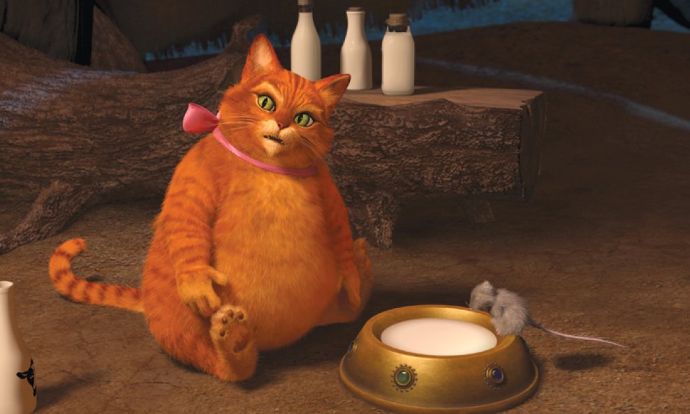 S4004_sq1350_s15_f336_cc