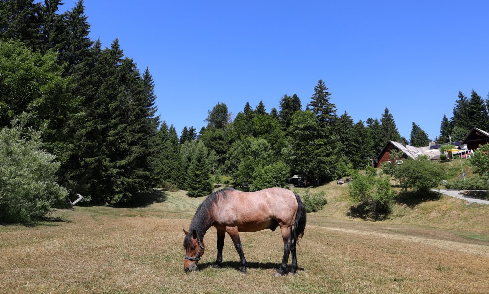 Nacionalni park Risnjak