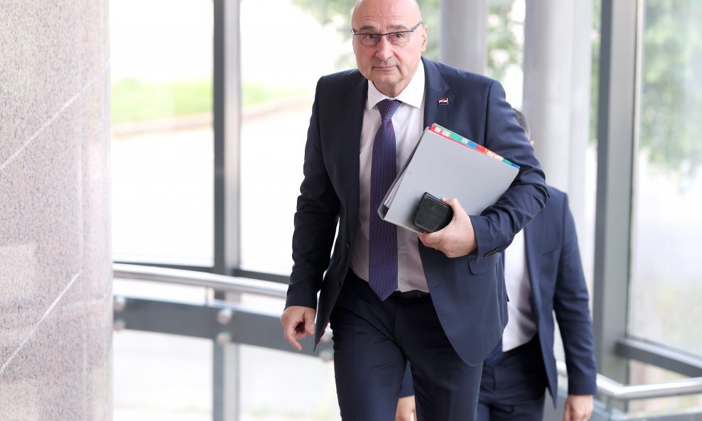 Gordan Grlić Radman