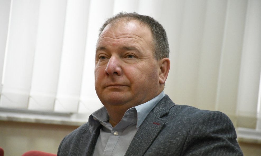 Damir Malina