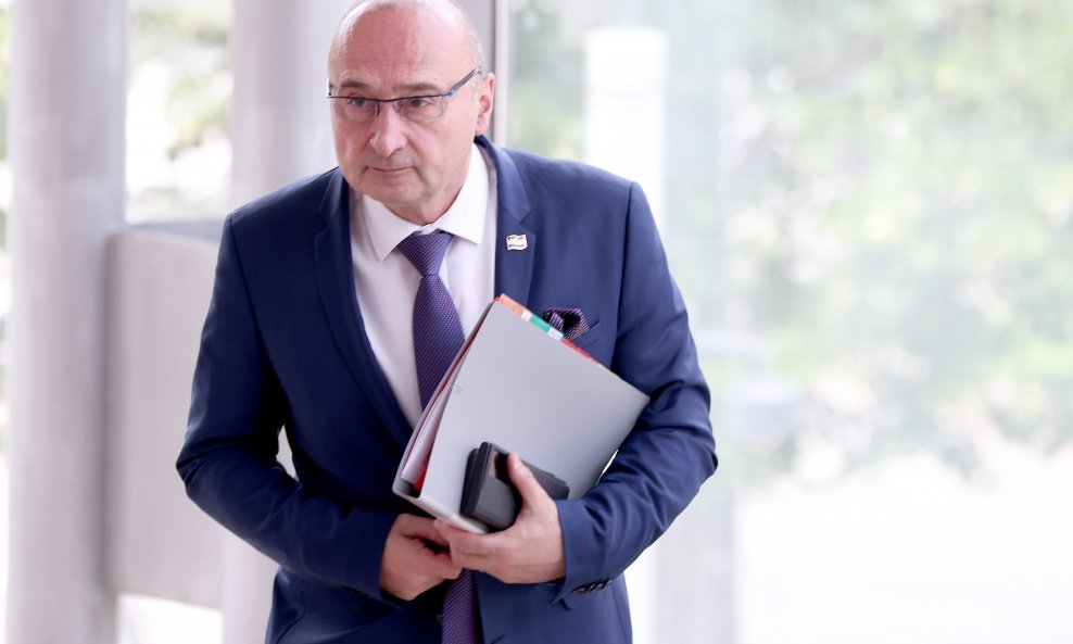 Gordan Grlić Radman