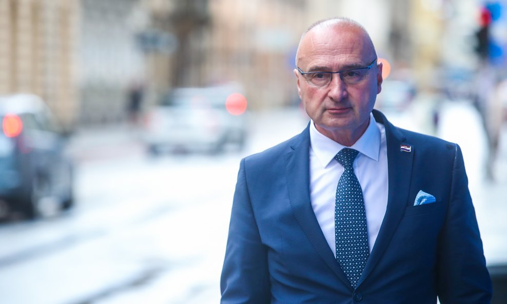 Goran Grlić Radman