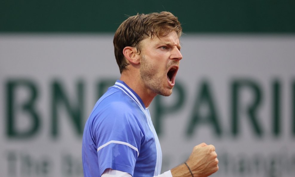 David Goffin