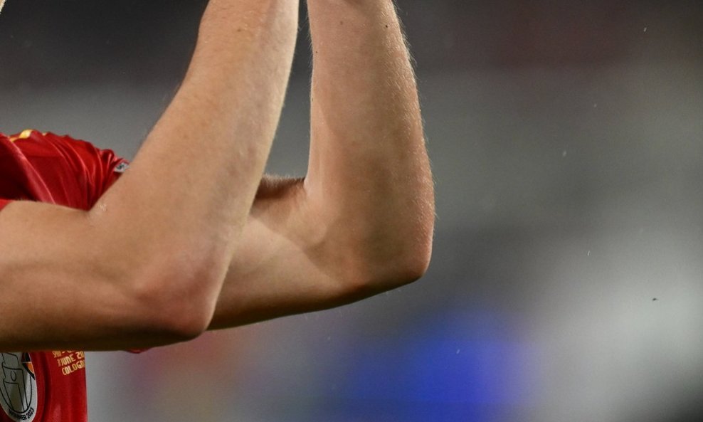 Dani Olmo
