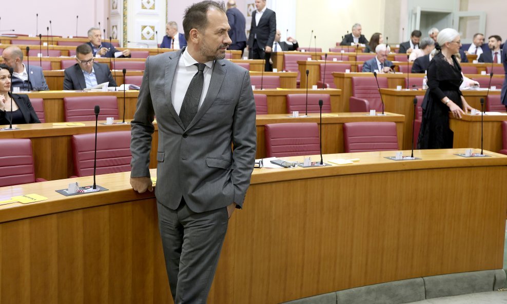 Igor Peternel, Domovinski pokret