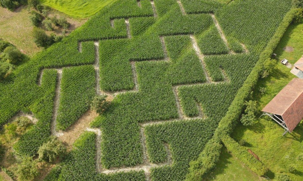 Otvoren kukuruzni labirint