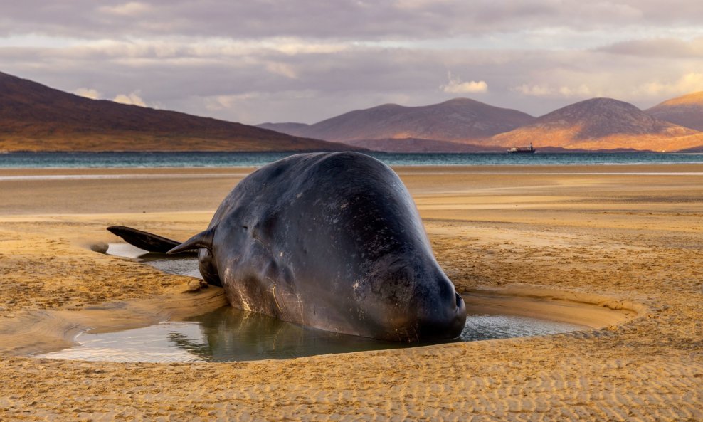 Ilustrativna fotografija