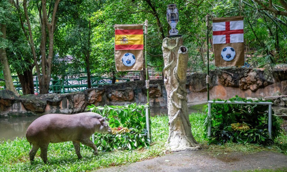 tapir Khao Knong